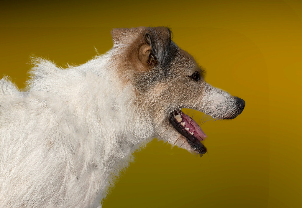 4711 felix Schleswig Holstein Ostsee 09_2015 KA7_5203 als Smartobjekt-1 Kopie.jpg